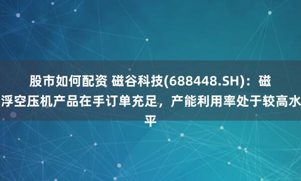 股市如何配资 磁谷科技(688448.SH):磁悬浮空压机产品在手订单充足,产能利用率处于较高水平